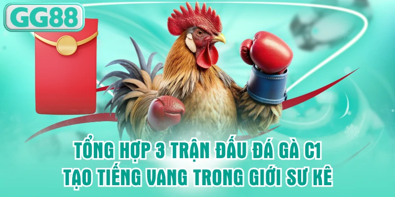 đá gà c1